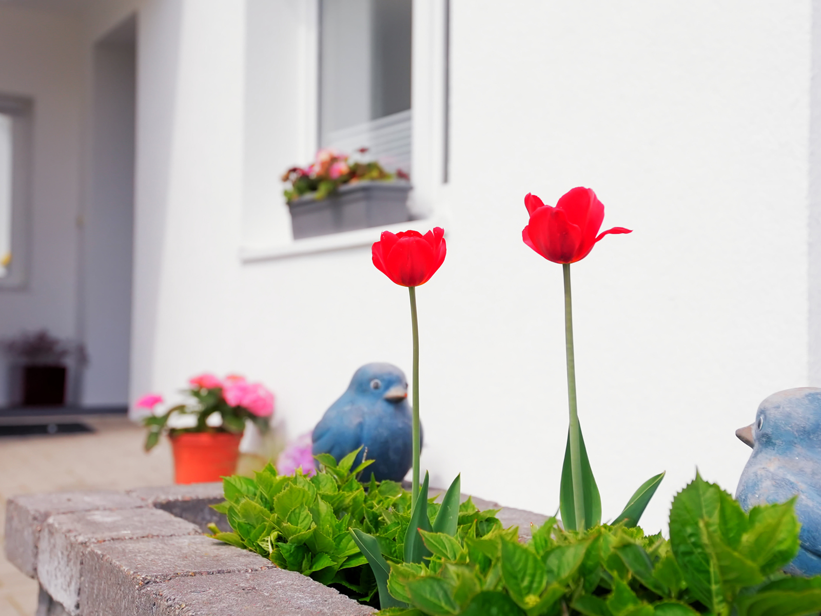 Ferienhaus Fischerstube